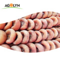 AGOLYN handmade dried persimmon with delicious taste